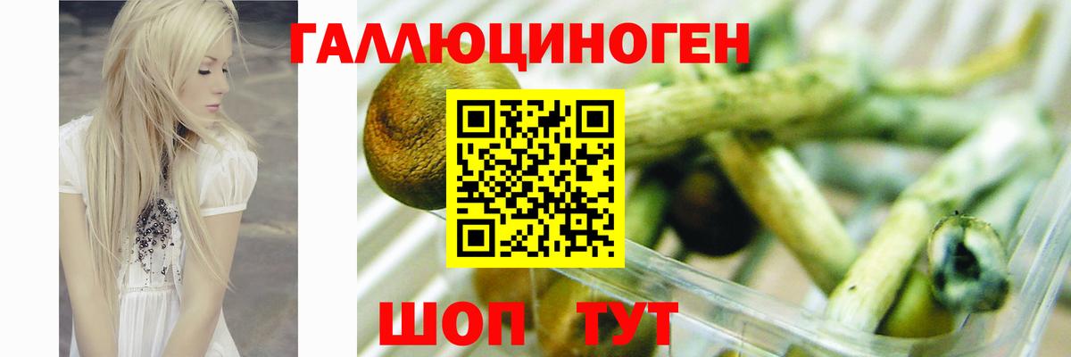 Гусь-Хрустальный  Галлюциногенные грибы MAGIC MUSHROOMS  Вход с VPN 